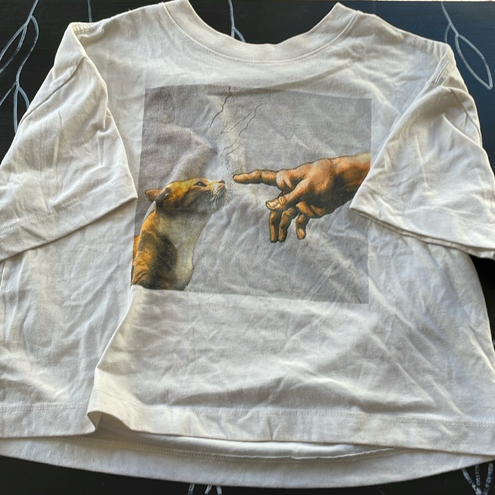 cat crop top white painting style